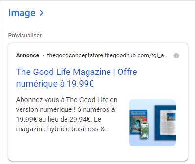 Affichage extensions d'image : Extensions d'annonce Google ads - Michel Yeboua